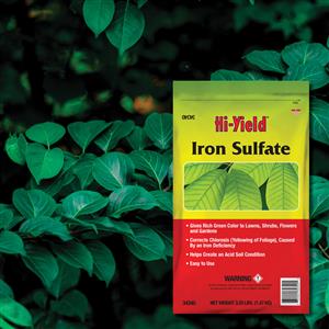 34340_Iron Sulfate 3.25 lb Bag image